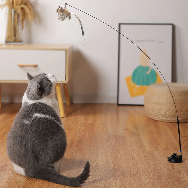 Whisker Bird Toys For Cat